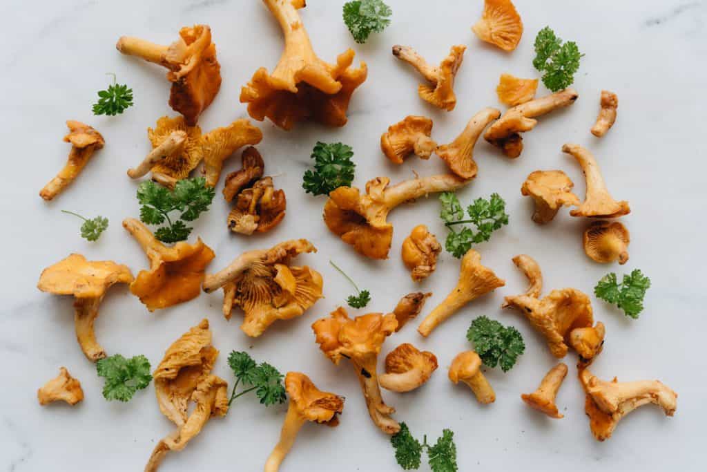 chanterelle mushrooms with parsley on a white background 