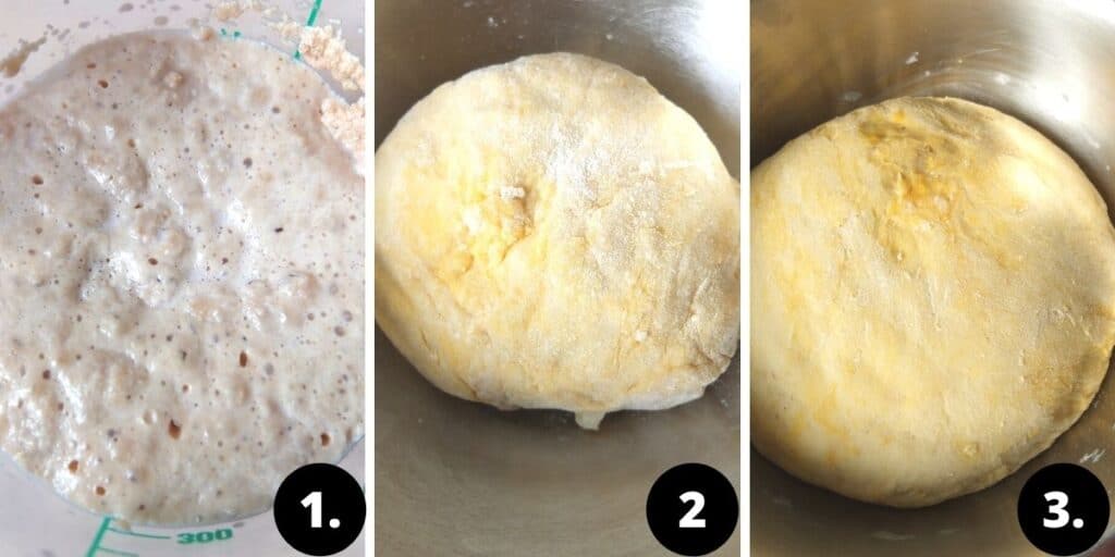 yeast being activated. Dough before and after it rises.