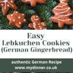 Lebkuchen Cookies.