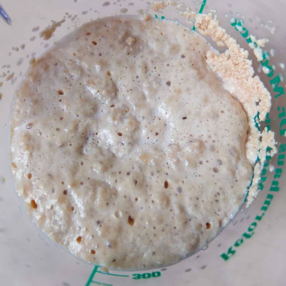 activated yeast