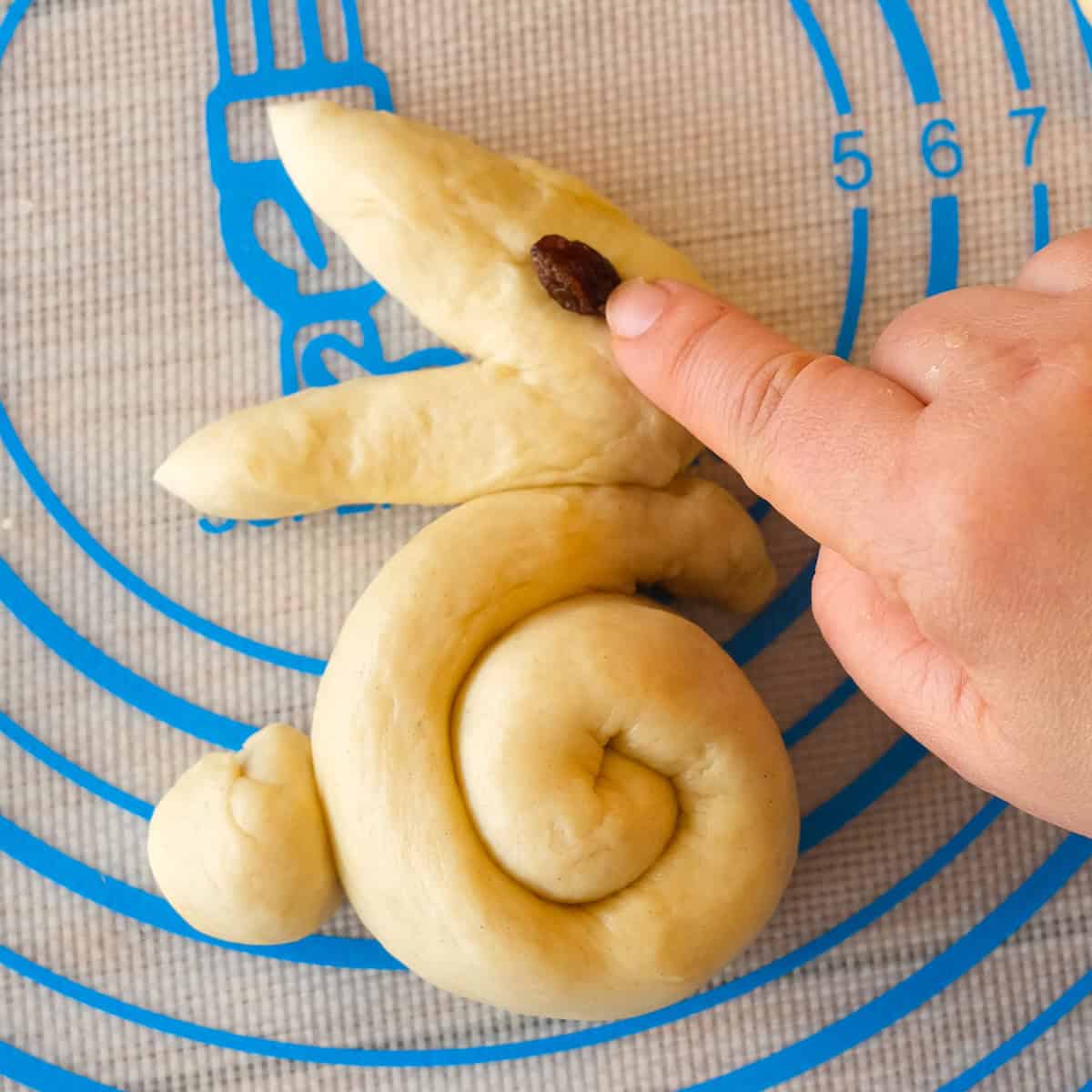 raisings for the bunny bun eyes