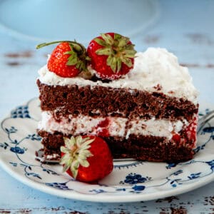 Chocolate Strawberry Cake with Joghurt Filling