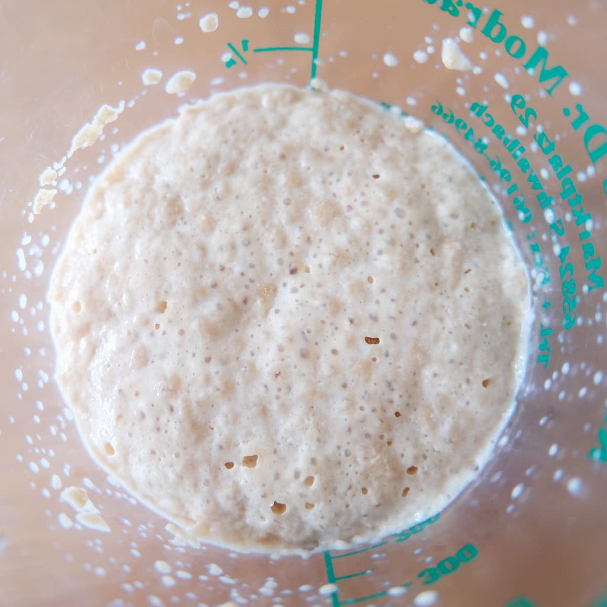 activated yeast in a container. You can see the bubbles on the surface.