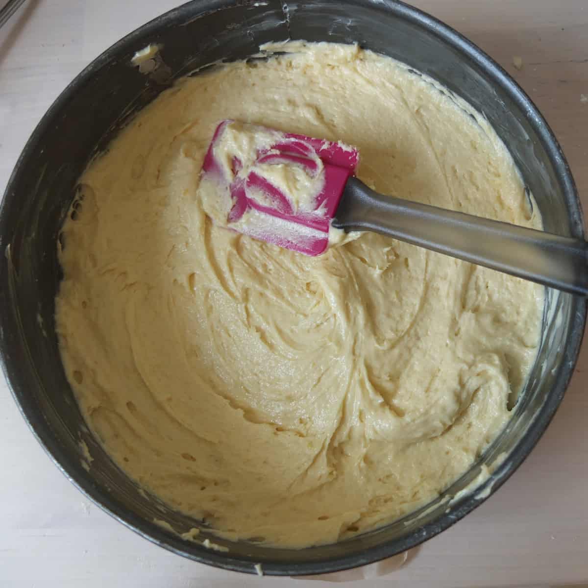 the batter for cake